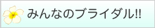 気になるみんなのブライダル!!